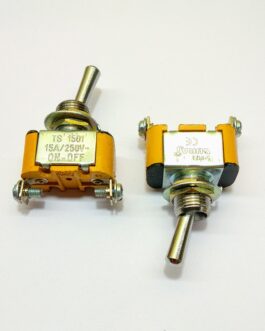 15 AMP 2 Pole Toggle Switch