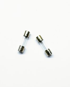 10 AMP Small Fuse