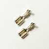 Valve-Lugs-Female