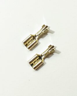 Valve Lugs Female