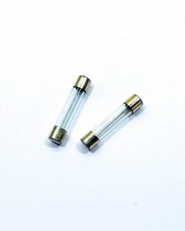 10 Amp Glass Fuse 6x30mm